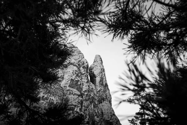 Brasão Armas Hamburgo Maciço Arenito Nas Montanhas Harz Retrato Preto — Fotografia de Stock