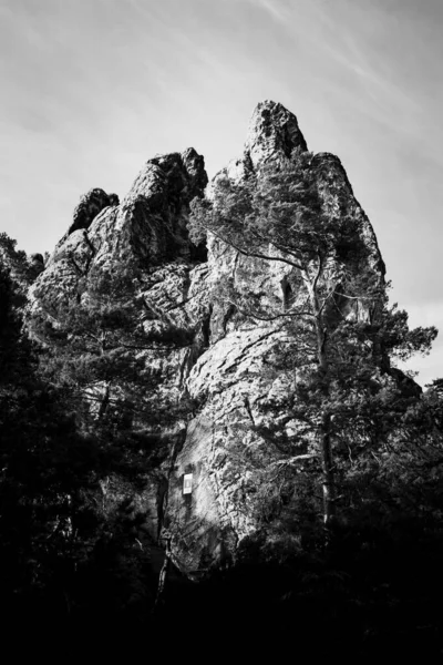 Stemma Amburgo Massiccio Arenaria Nelle Montagne Harz Ritratto Bianco Nero — Foto Stock