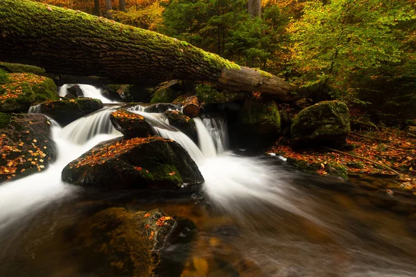 Cascadas Salvajes Que Fluyen Través Bosque Otoño — Foto de Stock