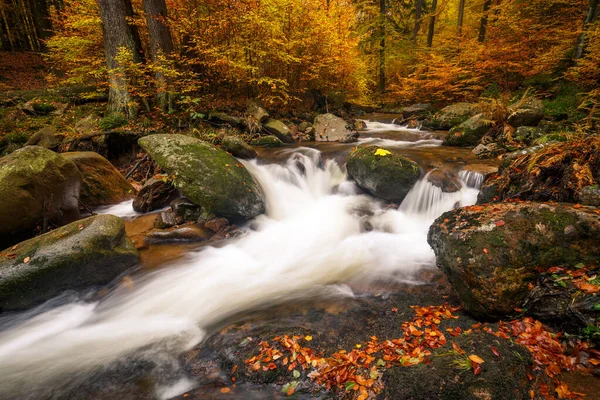 森の中を流れる野生の滝 — ストック写真