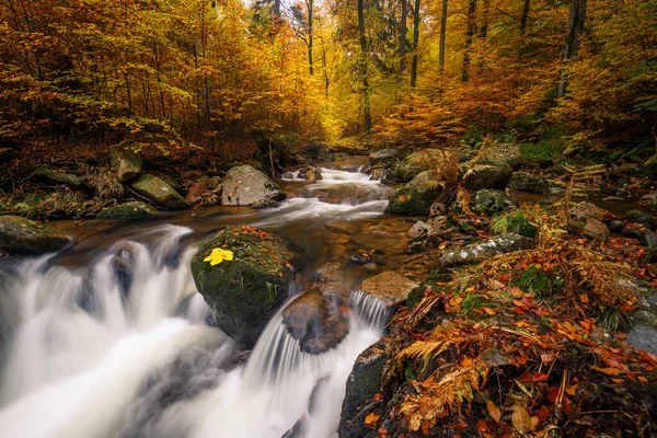 Cascadas Salvajes Que Fluyen Través Bosque Otoño — Foto de Stock