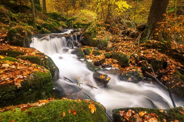 Wild Waterfalls Flowing Forest Autumn — Stock Photo, Image