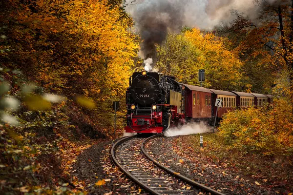 Velho Trem Ferroviário Floresta — Fotografia de Stock