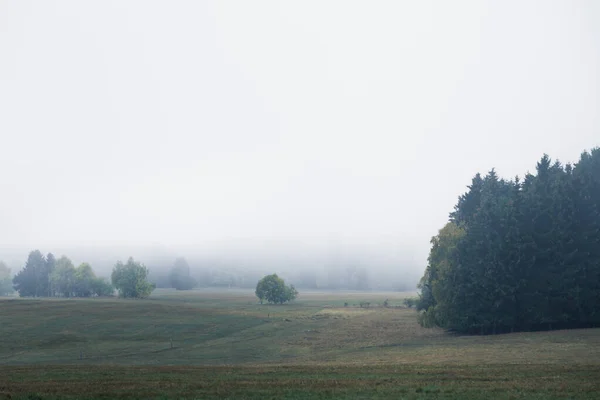 美しい霧の朝 山の谷で — ストック写真