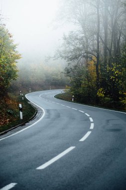 Yağmurlu yol sonbahar ormanına çıkar.