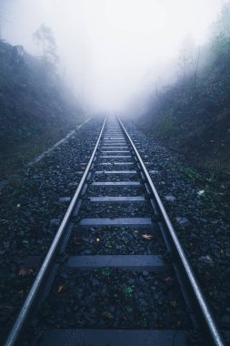 Demiryolu izleri yoğun karanlık bir ormanda sislerin içinde kayboluyor.