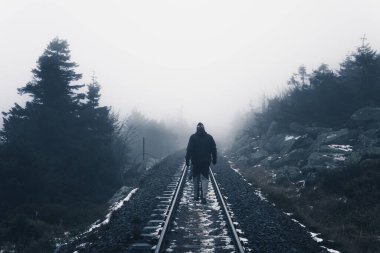 Demiryolu izleri yoğun karanlık bir ormanda sislerin içinde kayboluyor.