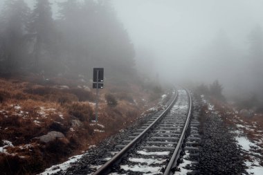 Tren rayları karanlık sisli bir ormana gidiyor.