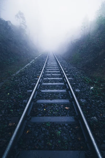 Demiryolu Izleri Yoğun Karanlık Bir Ormanda Sislerin Içinde Kayboluyor — Stok fotoğraf