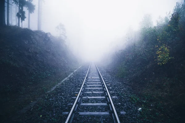Залізничні Колії Зникають Тумані Густому Темному Лісі — стокове фото