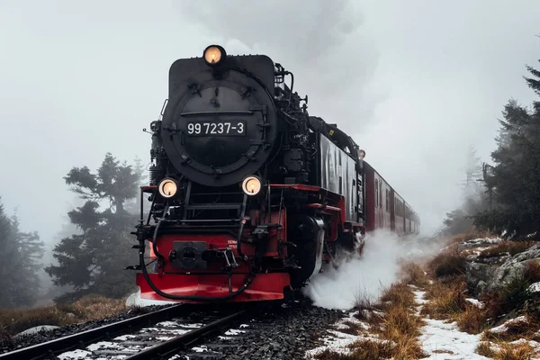Harz dağlarında buharlı tren, dağlarda sis ve karla boğuşuyor.