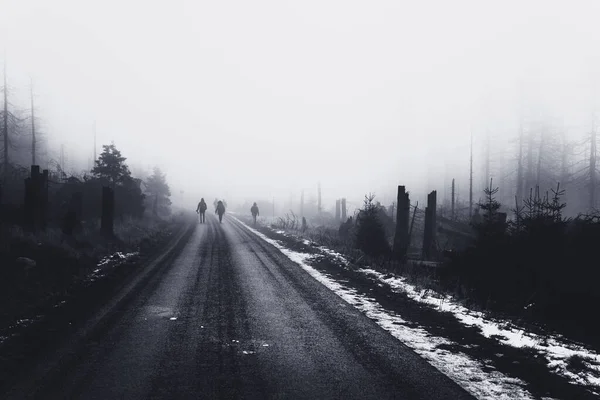 Dark Forest Road Bit Snow Runs Forest — Stock Photo, Image