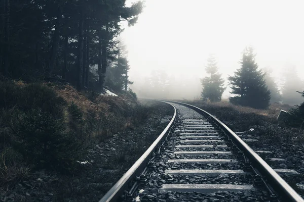 濃い森の中の霧の中に鉄道の線路が消えていく — ストック写真