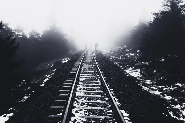 Las Vías Del Ferrocarril Desaparecen Niebla Denso Bosque Oscuro — Foto de Stock