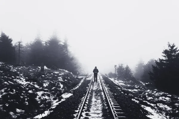 Las Vías Del Ferrocarril Desaparecen Niebla Denso Bosque Oscuro — Foto de Stock