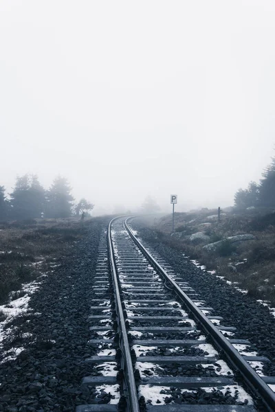 Železniční Koleje Mizí Mlze Hustém Tmavém Lese — Stock fotografie