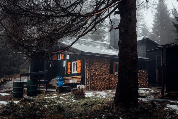 Mystische Holzhütte Nebelwald Übernachtung Einer Skihütte — Stockfoto