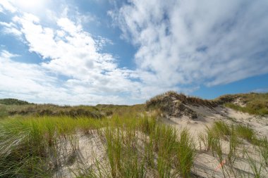 Amrum adasında kumlu çimenler ve mavi gökyüzü