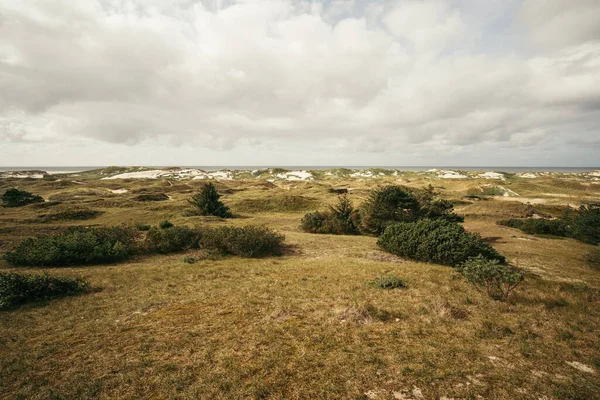 Övervuxna Kullar Landskap Sanddynerna — Stockfoto