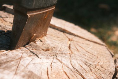 Tahtaya saplanmış bir baltanın yakın çekimi.