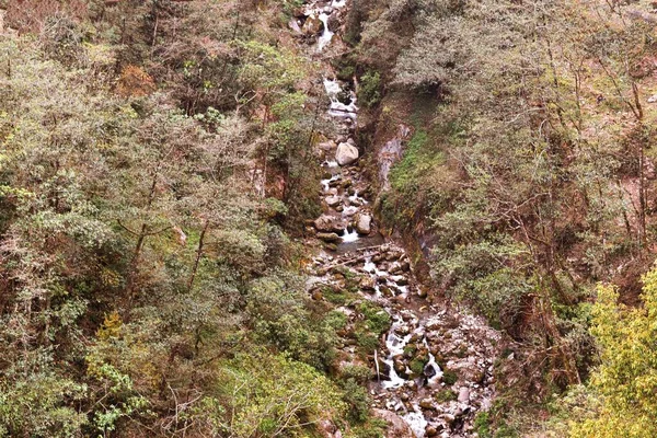 Ruisseau Dans Forêt — Photo