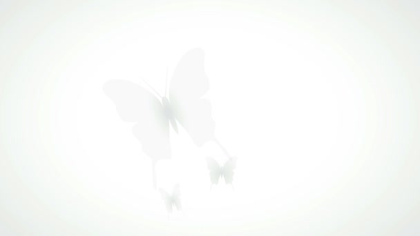 Flying Butterflies Transparency White Background Animated Abstract Illustration Springtime — Stock Video