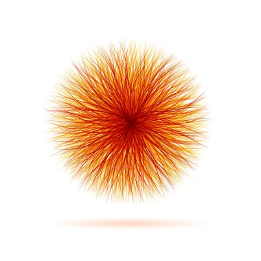 Virüsün karalaması, deniz kestanesi ve güneş