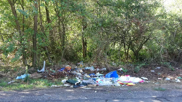 Garbage Abandoned Forest Road Dirt Woods — Stock Photo, Image