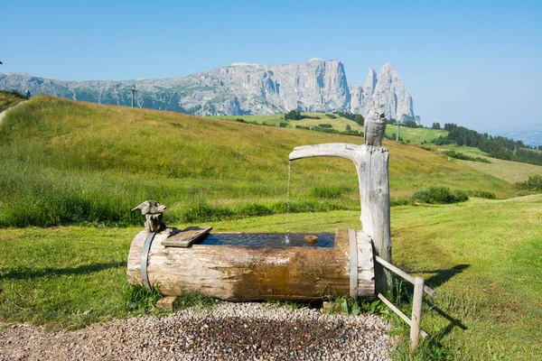 Alpe Siusi Seiser Alm Dolomitler Alpleri Palmiye Ahşap Çeşme Trentino — Stok fotoğraf