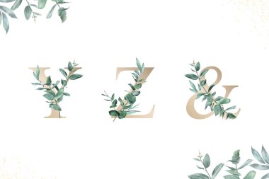 Suluboya alfabe seti y, z ve elle çizilmiş yapraklar.