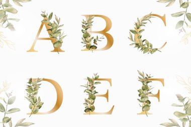 Elle çizilmiş yapraklı suluboya alfabe seti a, b, c, d, e, f