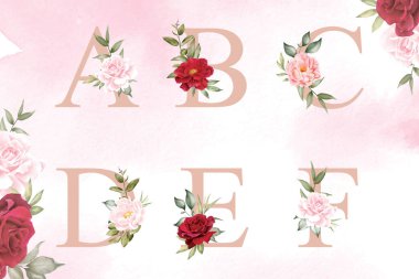 Suluboya alfabe seti a, b, c, d, e, elle çizilmiş çiçek ve yapraklar