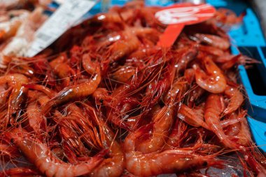 Palamos 'taki bir balıkçıda buzda çiğ kırmızı karides. Costa Brava 'dan tipik kırmızı karidesler.