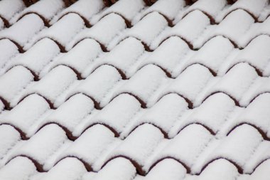 Ocak 2021 'de İspanya' da Fırtına Filomena sırasında karla kaplı çatı resmi