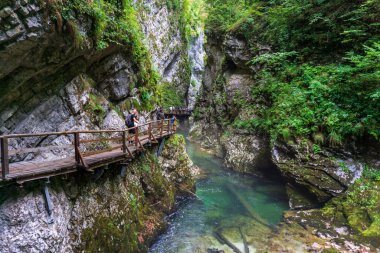 Bled, Slovenya; 08 19 2022: Turkuaz Radovna Nehri, Slovenya 'nın Bled kentindeki Vintgar Vadisi' ndeki tipik ahşap köprüsüne sahip