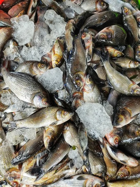 在印度鱼类市场出售的一堆堆新捕获的罗湖鱼拉贝罗希塔冰鱼 — 图库照片