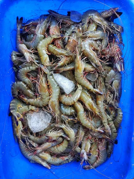 Pile Shrimp Prawn Indian Fish Market Sale — Photo
