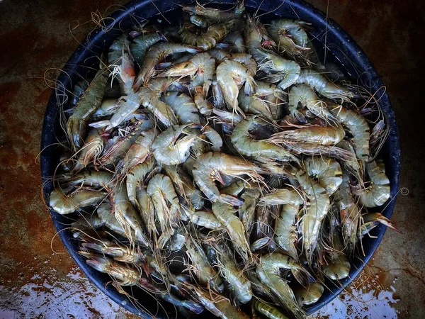Pile Shrimp Prawn Indian Fish Market Sale — Stock Photo, Image
