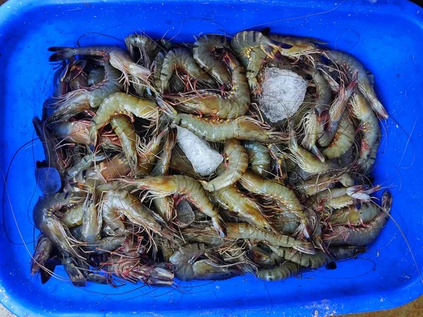 Pilha Camarão Camarão Mercado Indiano Peixe Para Venda — Fotografia de Stock