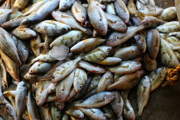 Grote Stapel Kleine Geelvink Koop Indische Vismarkt — Stockfoto