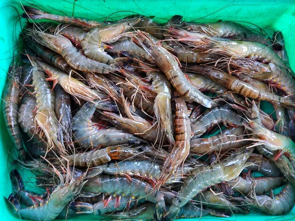 Big Tigre Camarão Penaeus Monodon Pilha Mercado Peixe Indiano Para — Fotografia de Stock