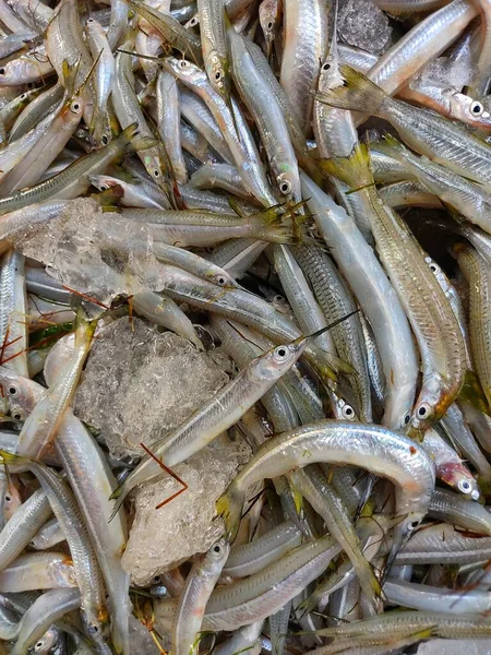 在印度鱼市场 有一半喙鱼在地板上 有一半喙鱼与冰块堆在一起 — 图库照片