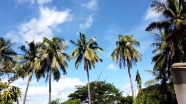 Yüksek mavi gökyüzünde hızlı hareket eden bulutların drone görüntüsü HD