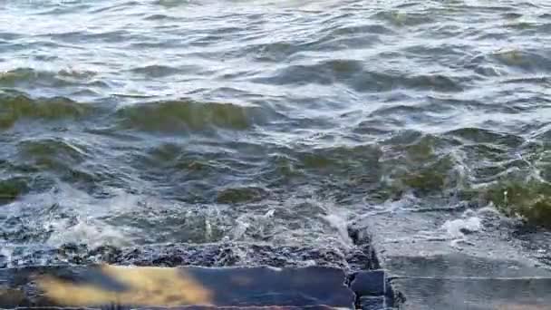Acqua Del Lago Chilika Spruzzi Riva Rallentatore — Video Stock