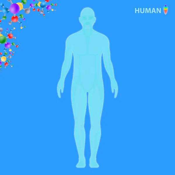 Kosmetologie Lidského Těla Ilustrační Vektor Vektorová Grafika