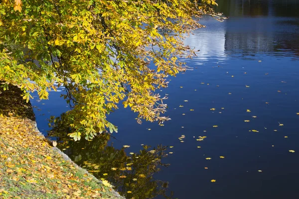 Autumn on the Lower Lake of Kaliningrad