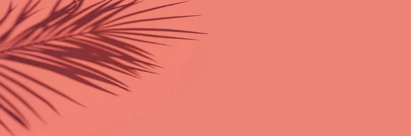 Тінь Пальмового Листя Кораловому Рожевому Фоні Рендерингу Ілюстрація — стокове фото