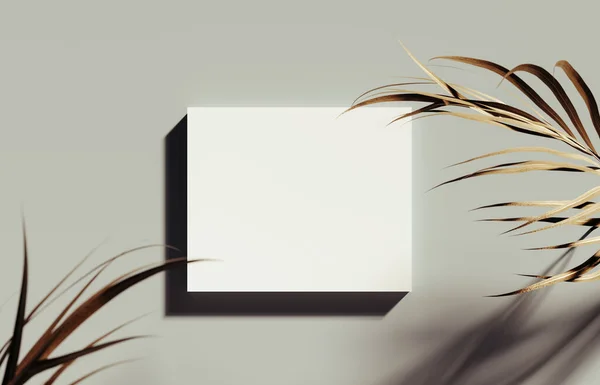 Wit Model Vierkant Met Palmbladeren Decoratie Olijfgroene Achtergrond Rendering Illustratie — Stockfoto