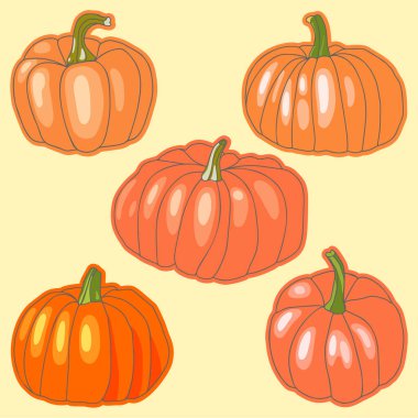 Renkli arka planda bir balkabağının renkli silueti. Çizim çizimi. Düz vektör