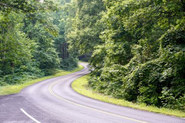 Blue Ridge Parkway winding its way through the woods of Virginia's Appalachian Mountains. Photo taken from Yankee Horse Ridge Overlook parking area near mile 34. 